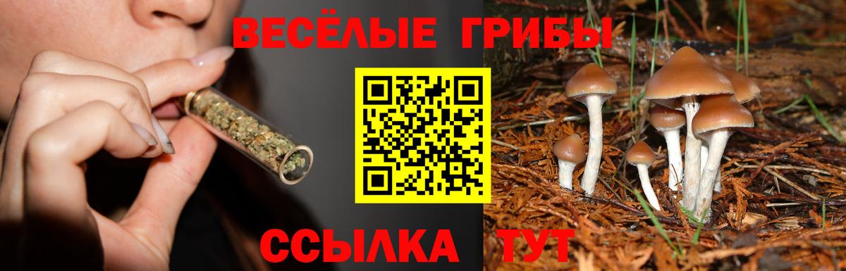 Галлюциногенные грибы GOLDEN TEACHER Стерлитамак